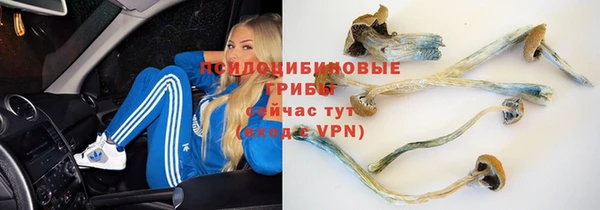 прущая мука Армянск