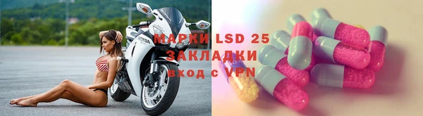 эйфоретик Аркадак