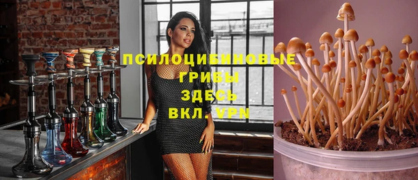 гидропоника Арсеньев